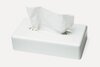 Tork Dispenser Facial Tissues, per stuk, F1, Wit