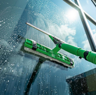 Unger VisaVersa Pro Pad 35cm