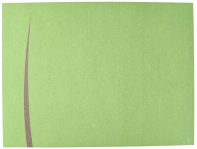 Europochette Placemats BARI Pistache - Brown 4x250st. Europochette Placemats BARI Pistache - Brown 4x250st.